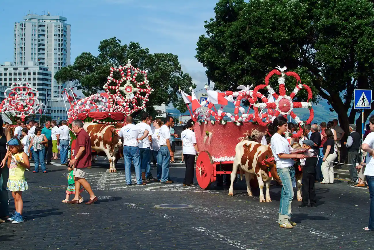 Agriculture and livestock in the Holy Spirit festivities Holy Spirit Festivals